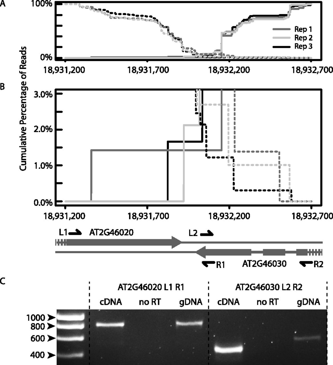 1730fig3