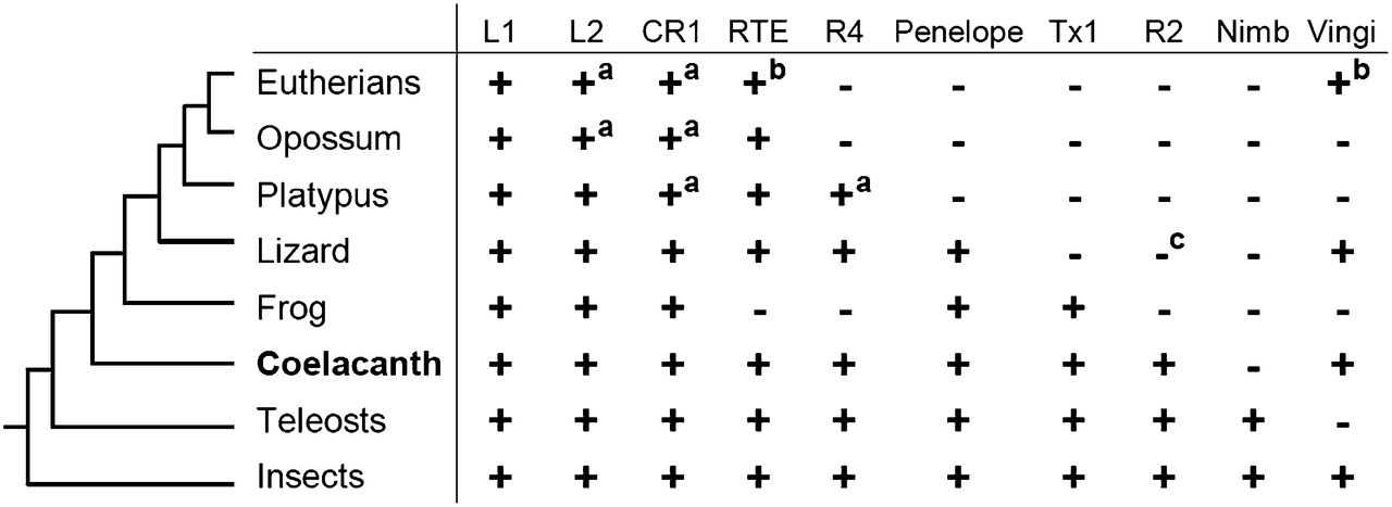 1740fig4