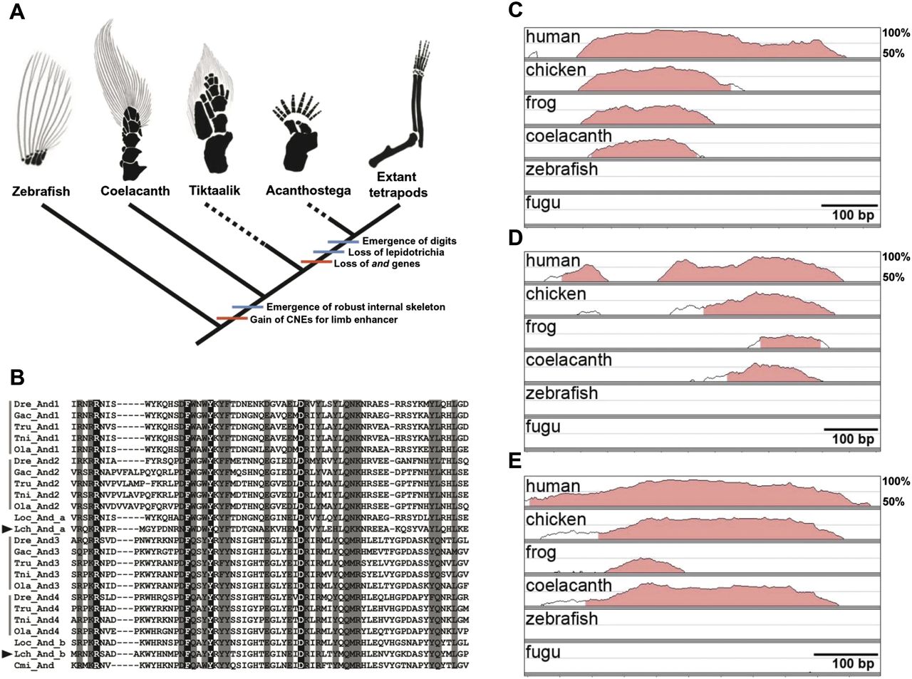 1740fig6