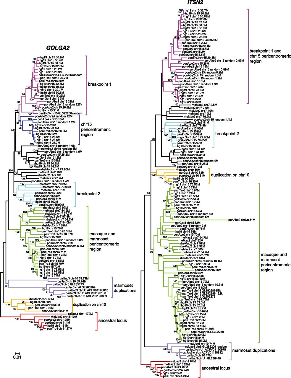 1763fig4