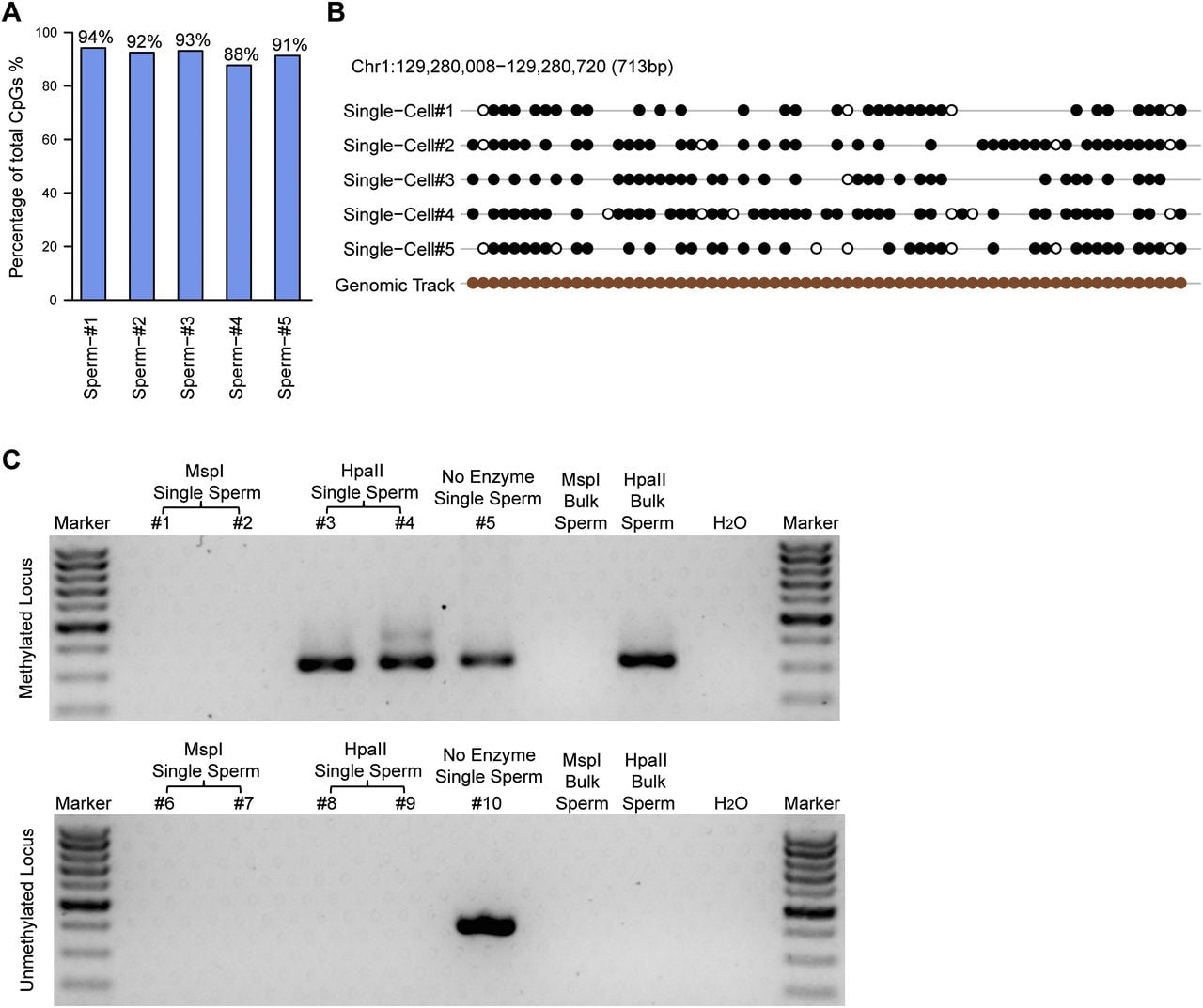 2126fig3