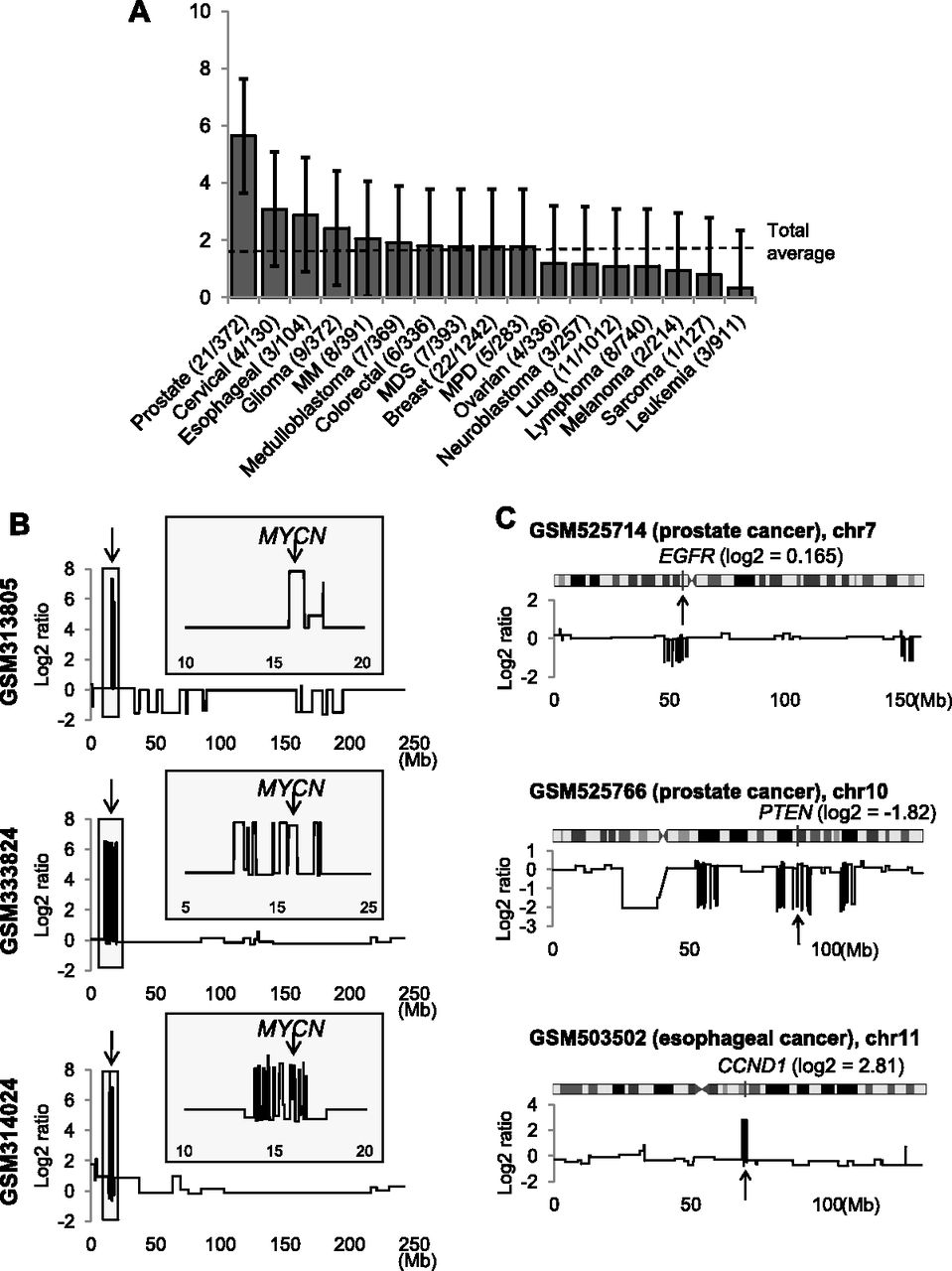 217fig6