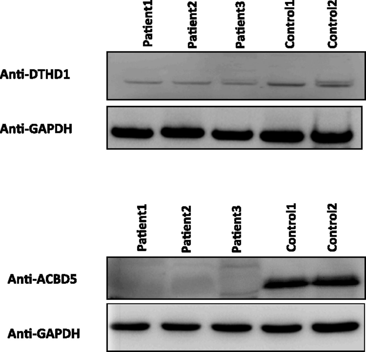 236fig3
