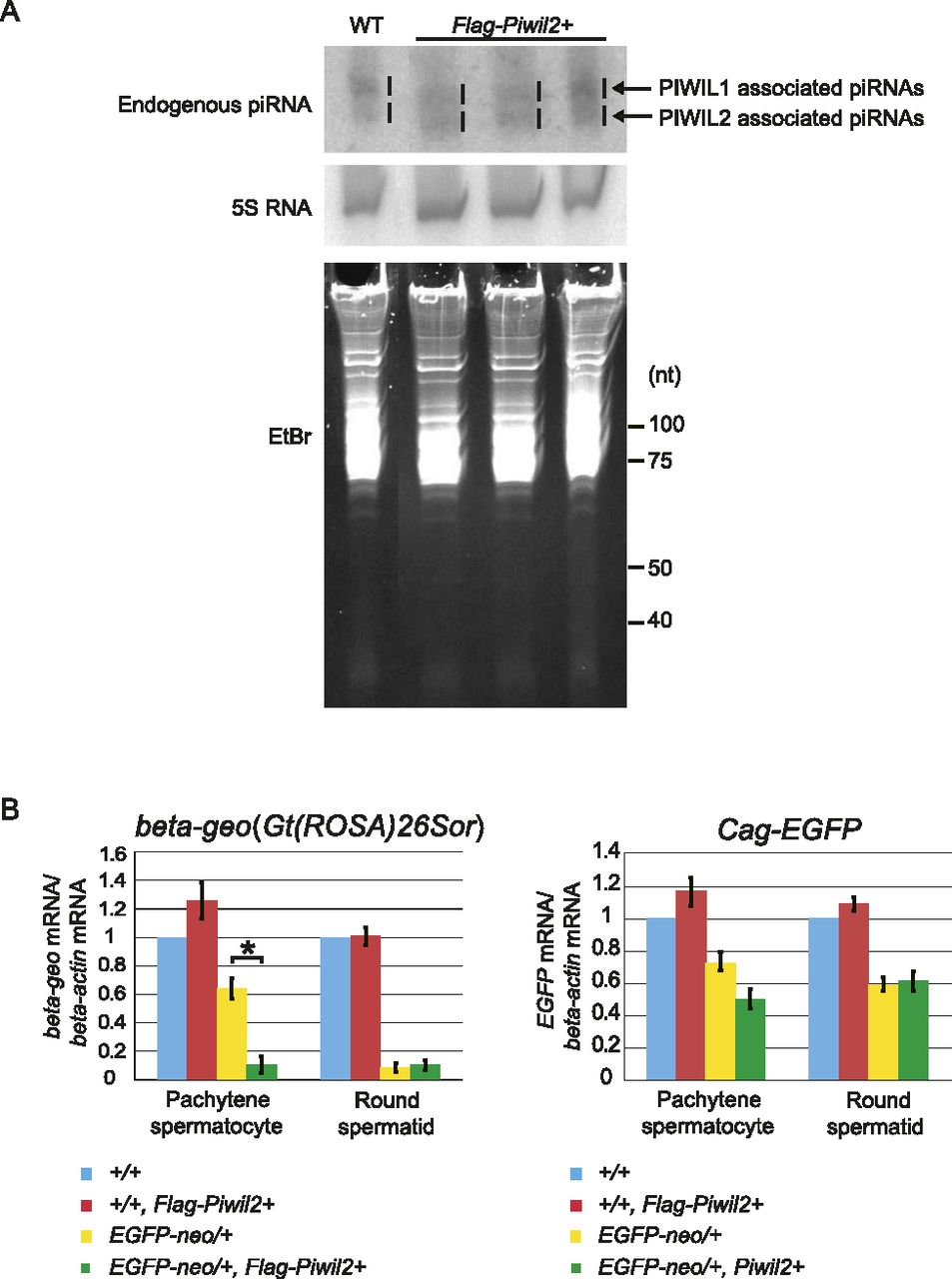 292fig4