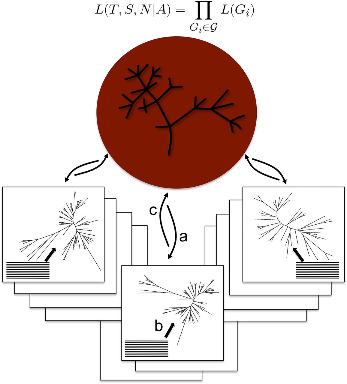 323fig1