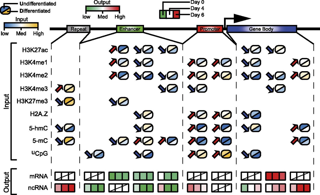 352fig6
