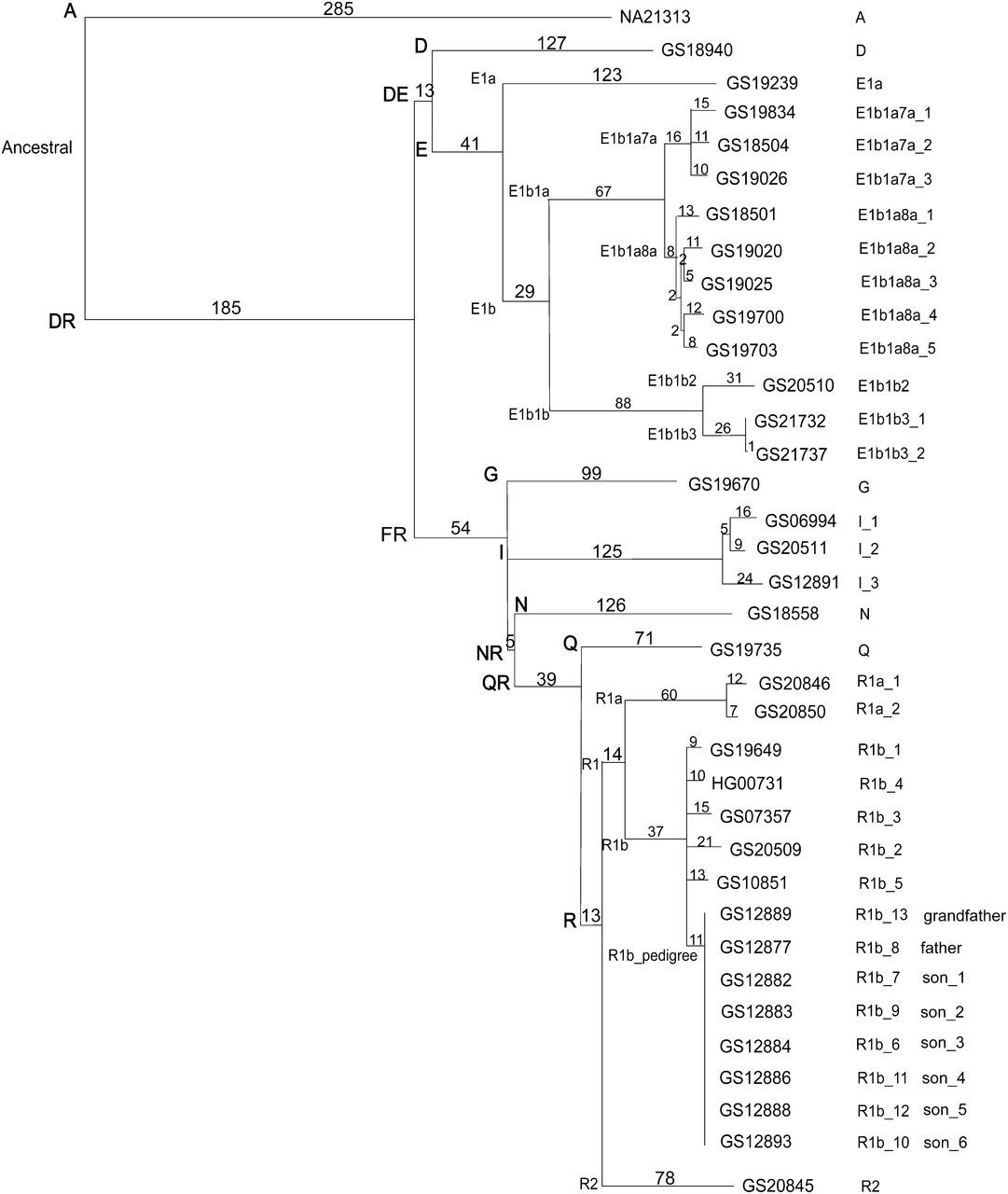 388fig2