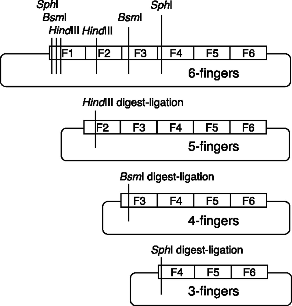 530fig1