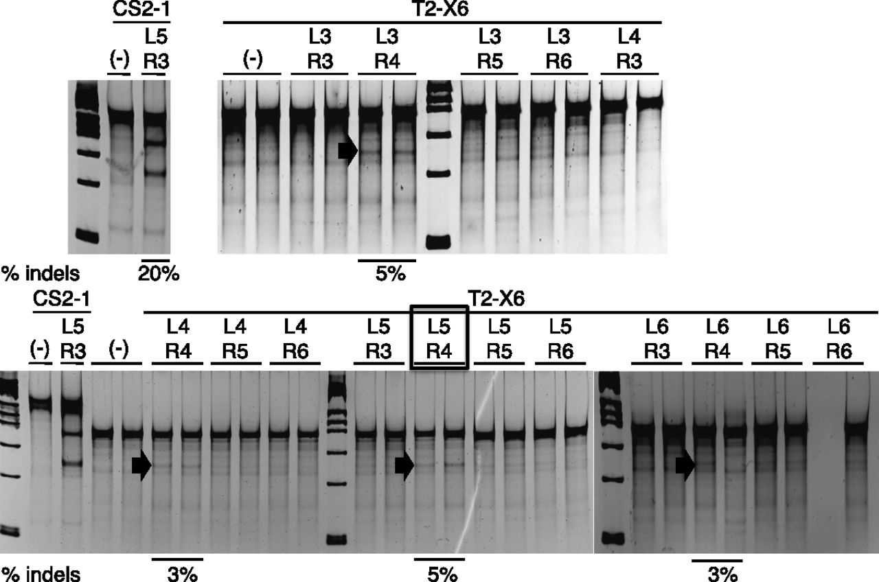 530fig3