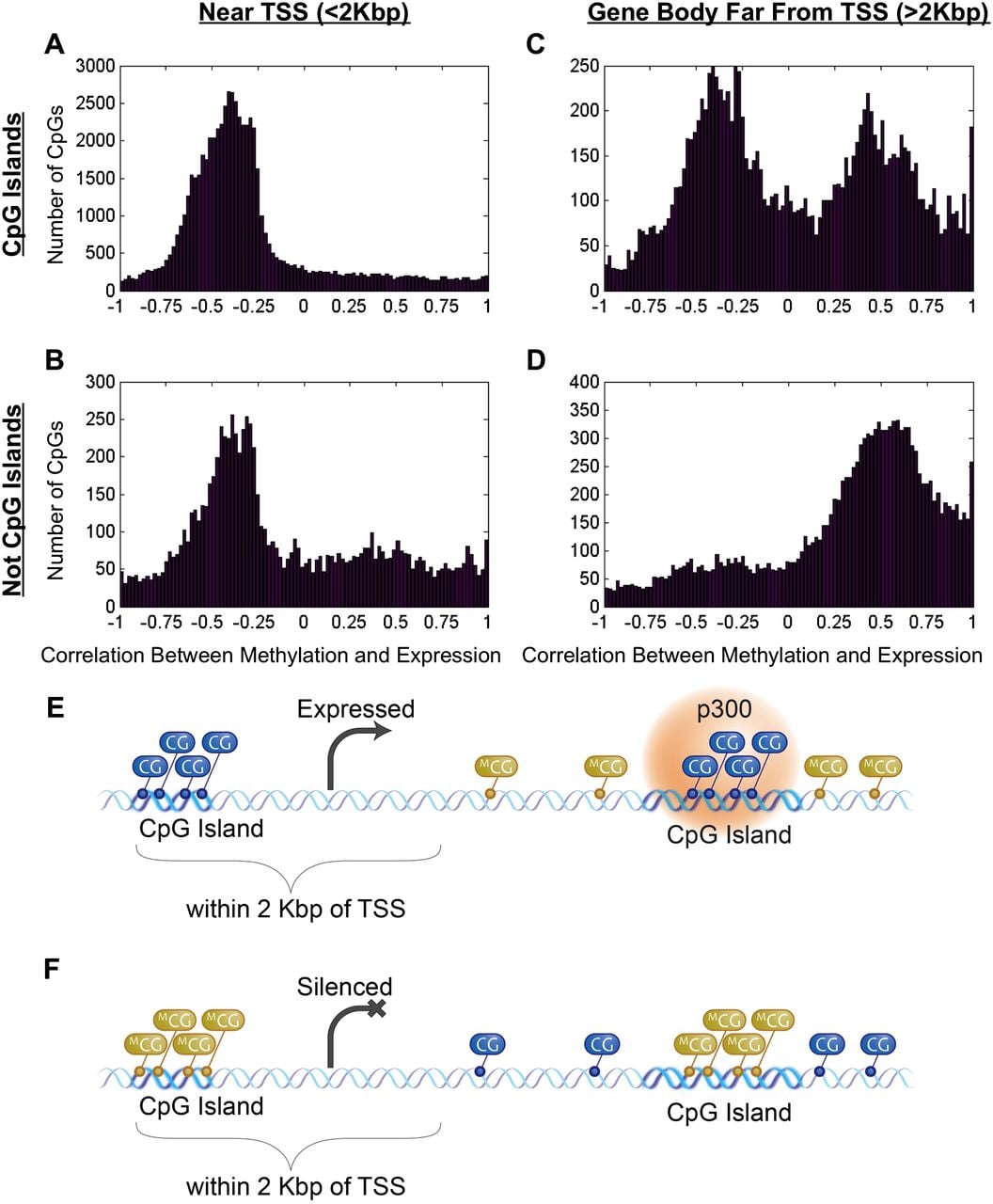 555fig4
