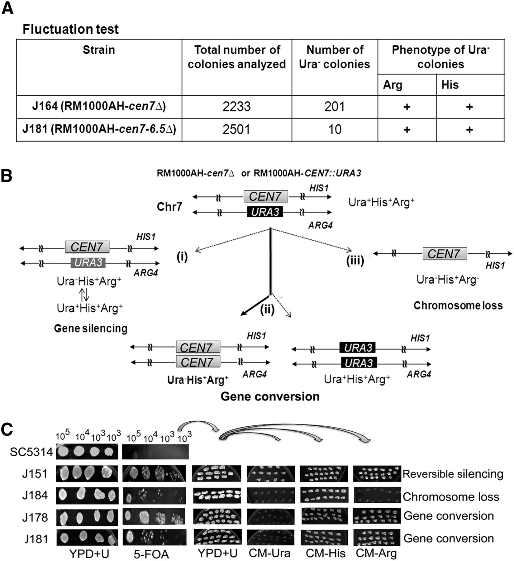 638fig6