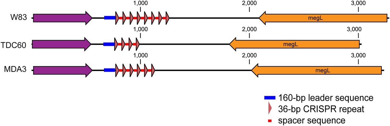 867fig5
