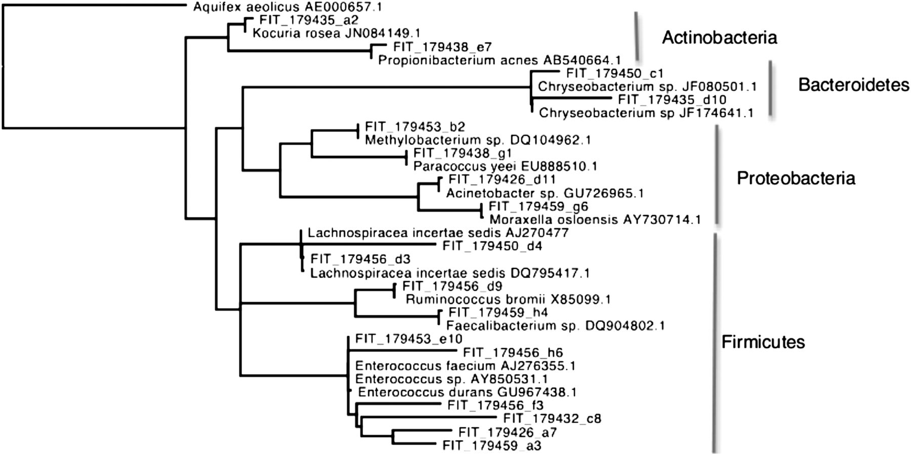 878fig5