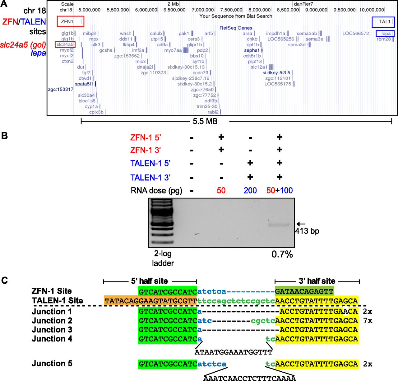 1008fig4