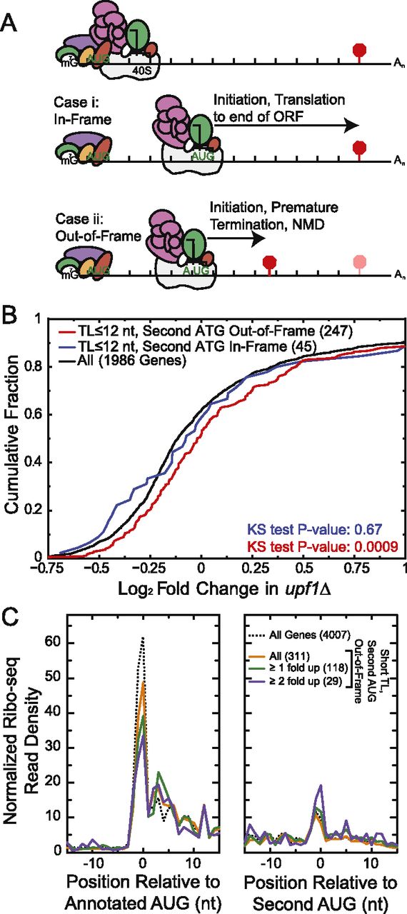 977fig3