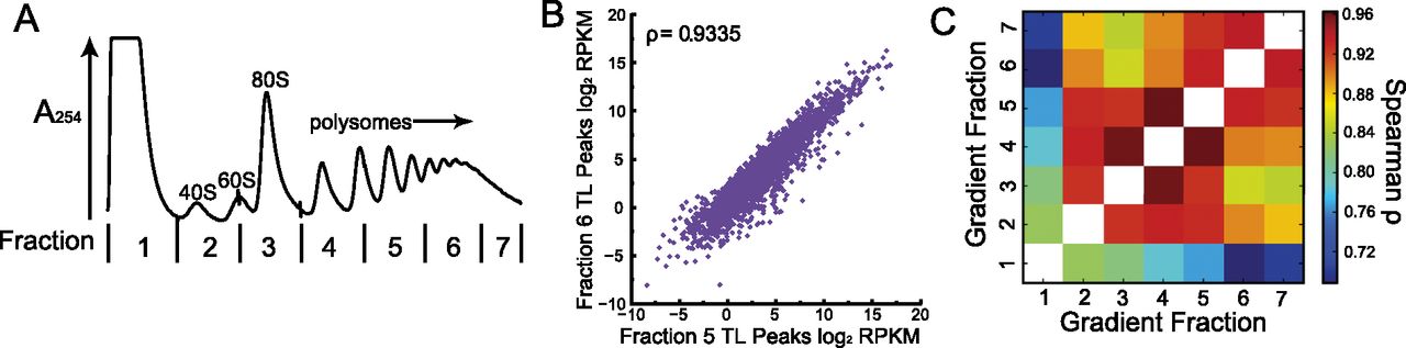 977fig4