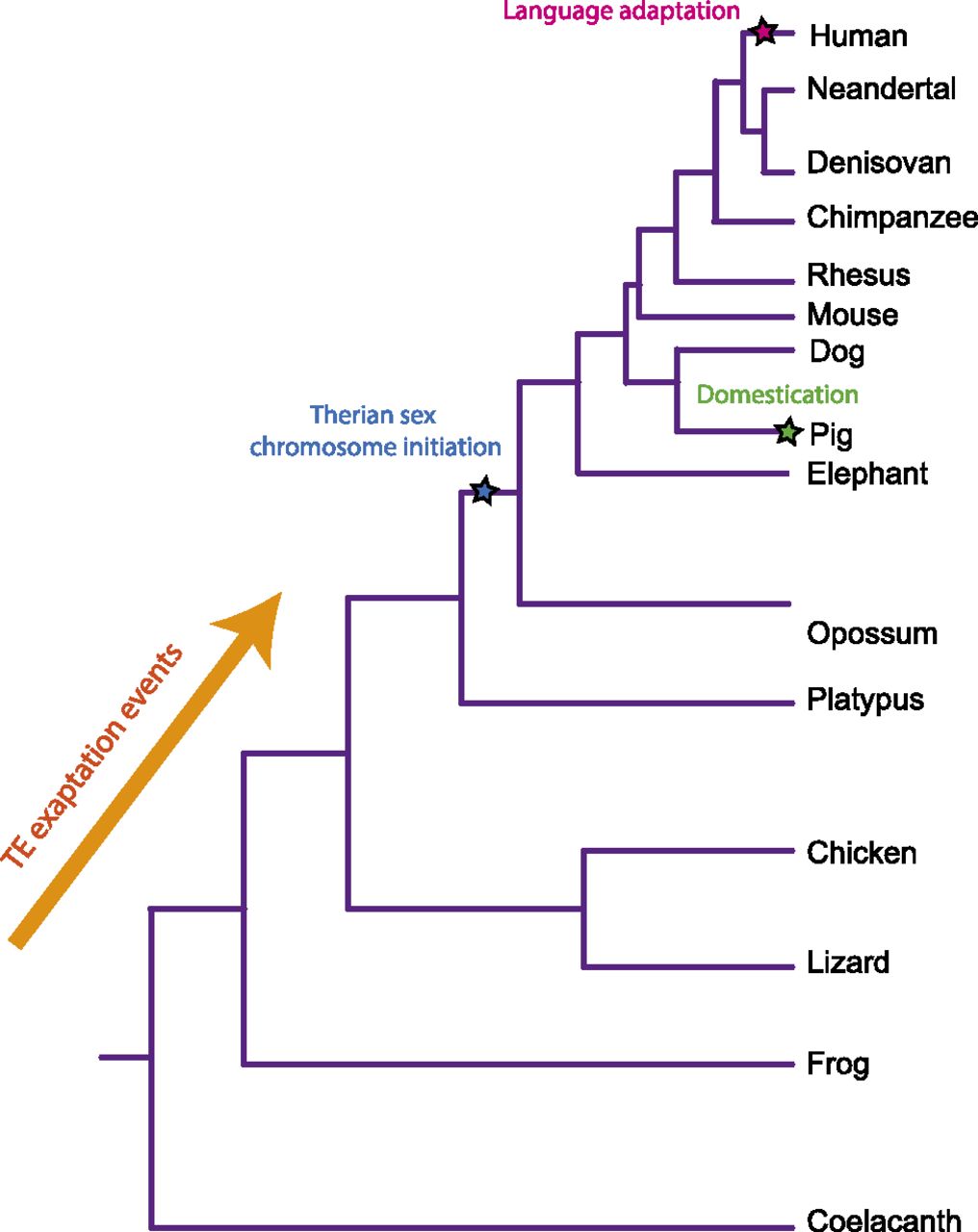 1063fig2