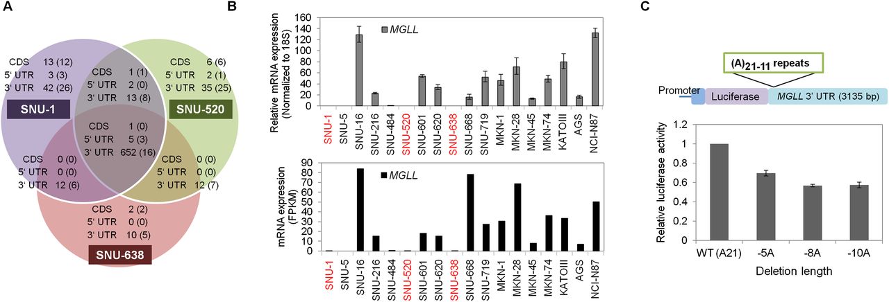 1109fig4