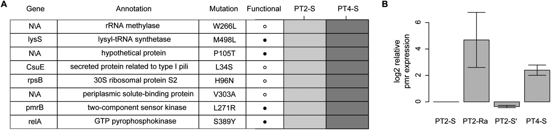 1155fig4