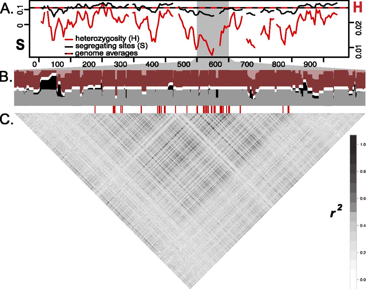 1248fig3