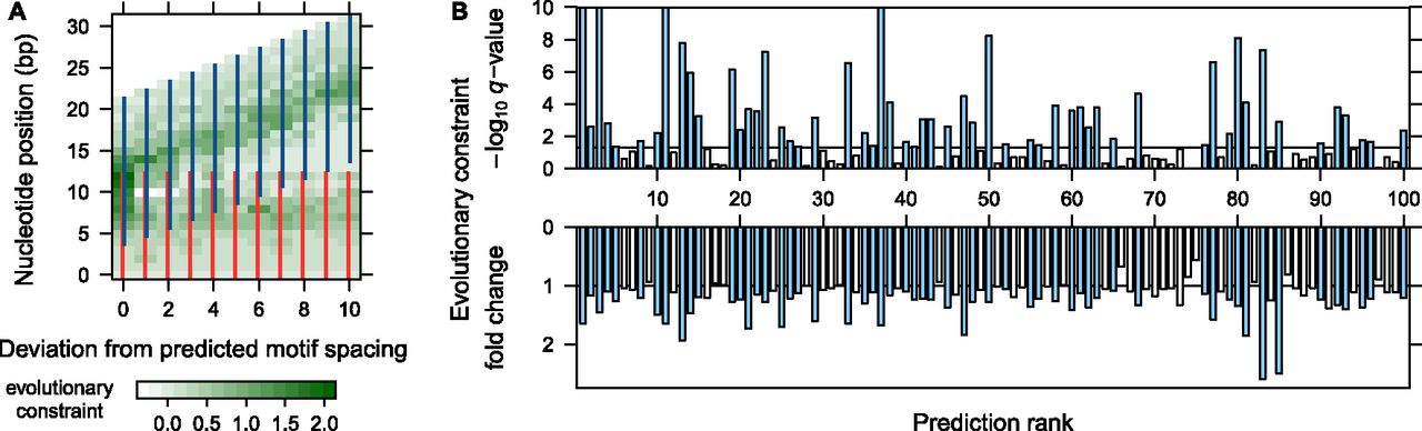 1307fig4