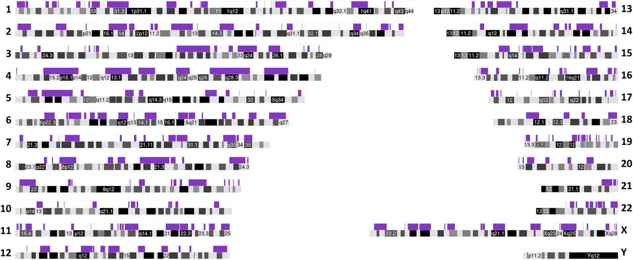 1383fig4