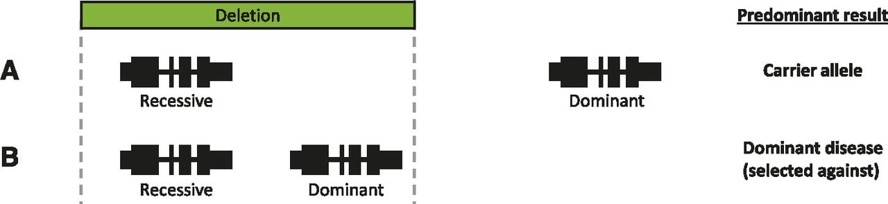 1383fig7