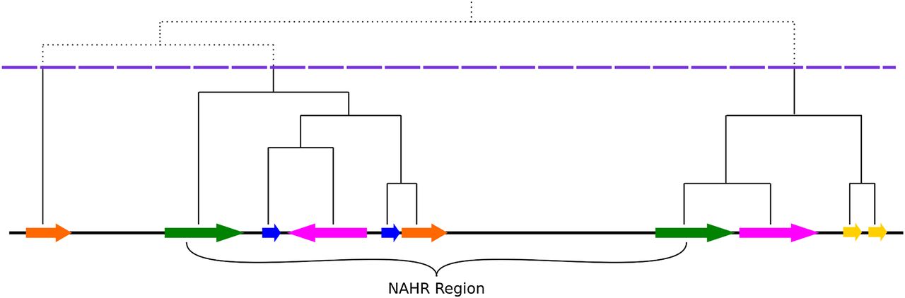 1395fig1