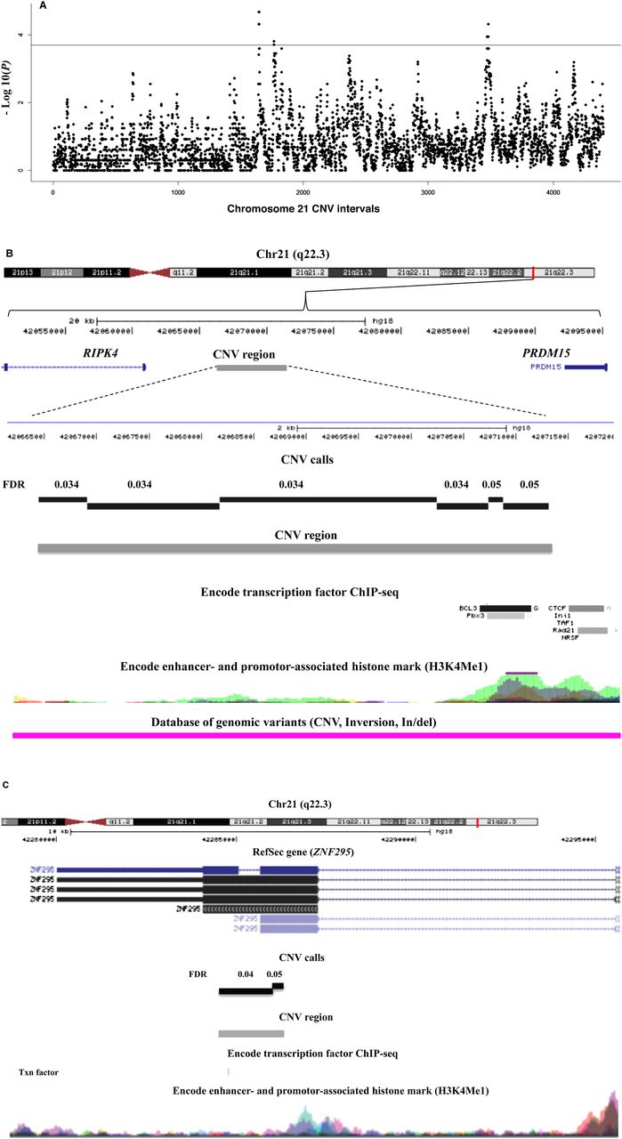 1410fig3