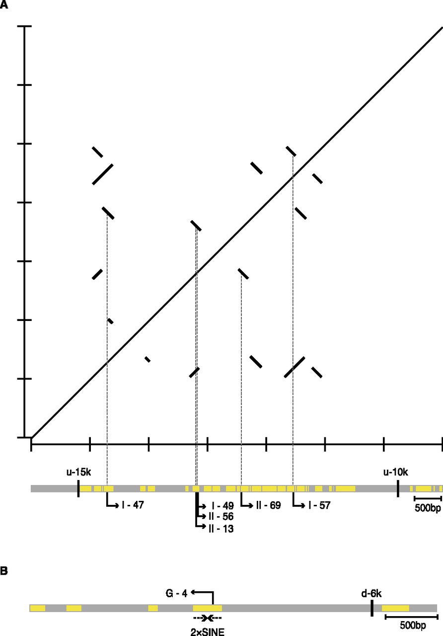 1462fig5