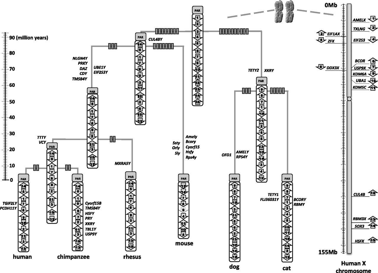1486fig3