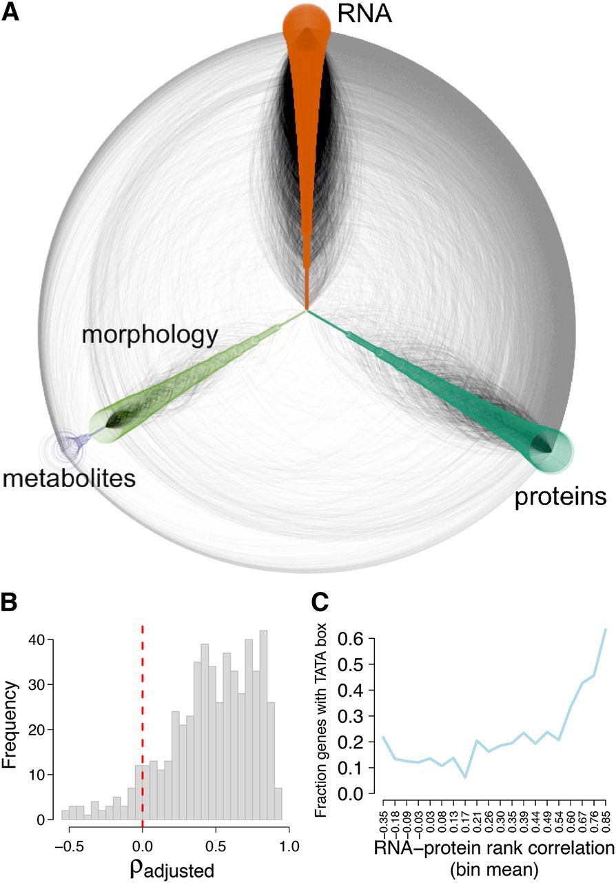 1496fig4
