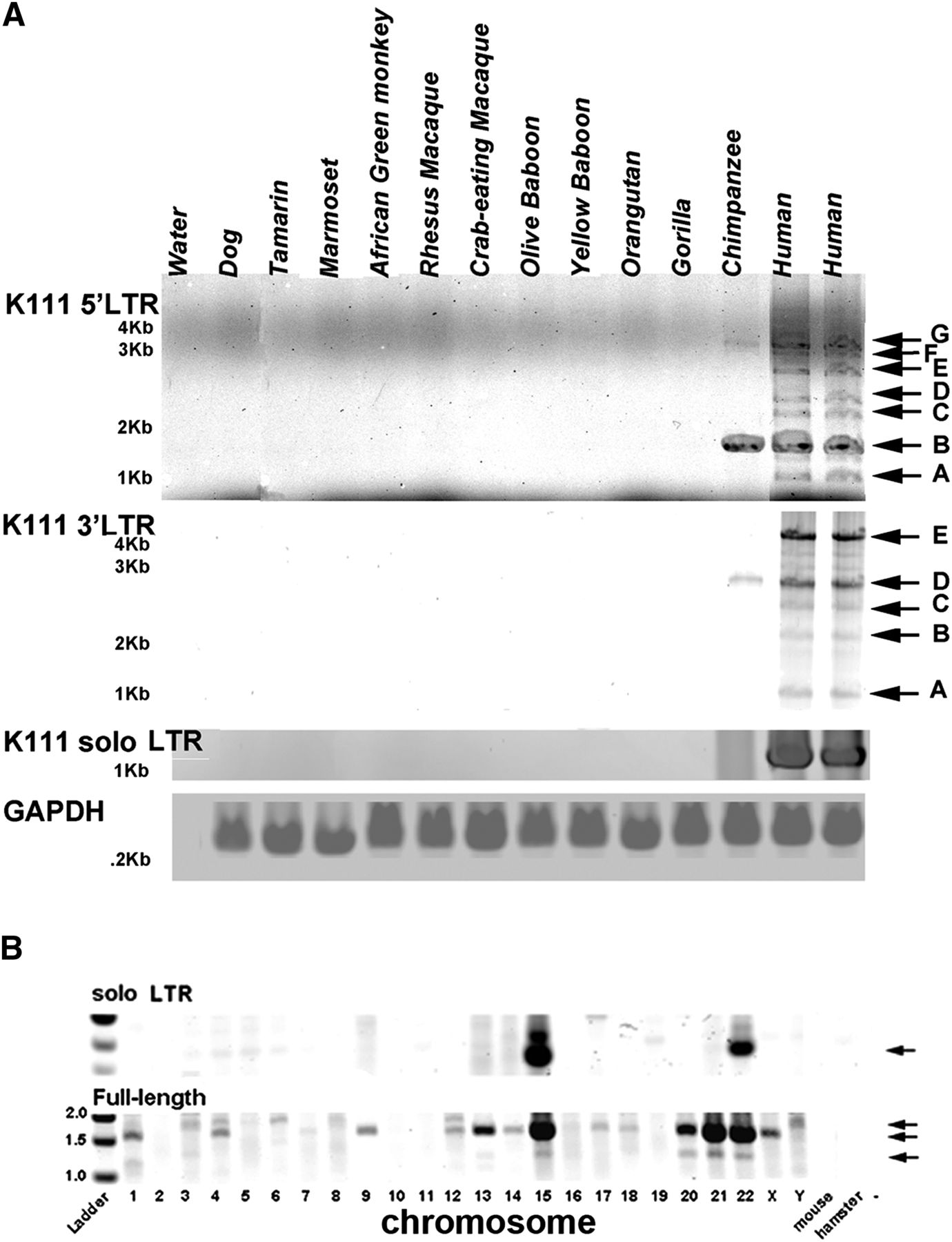 1505fig2