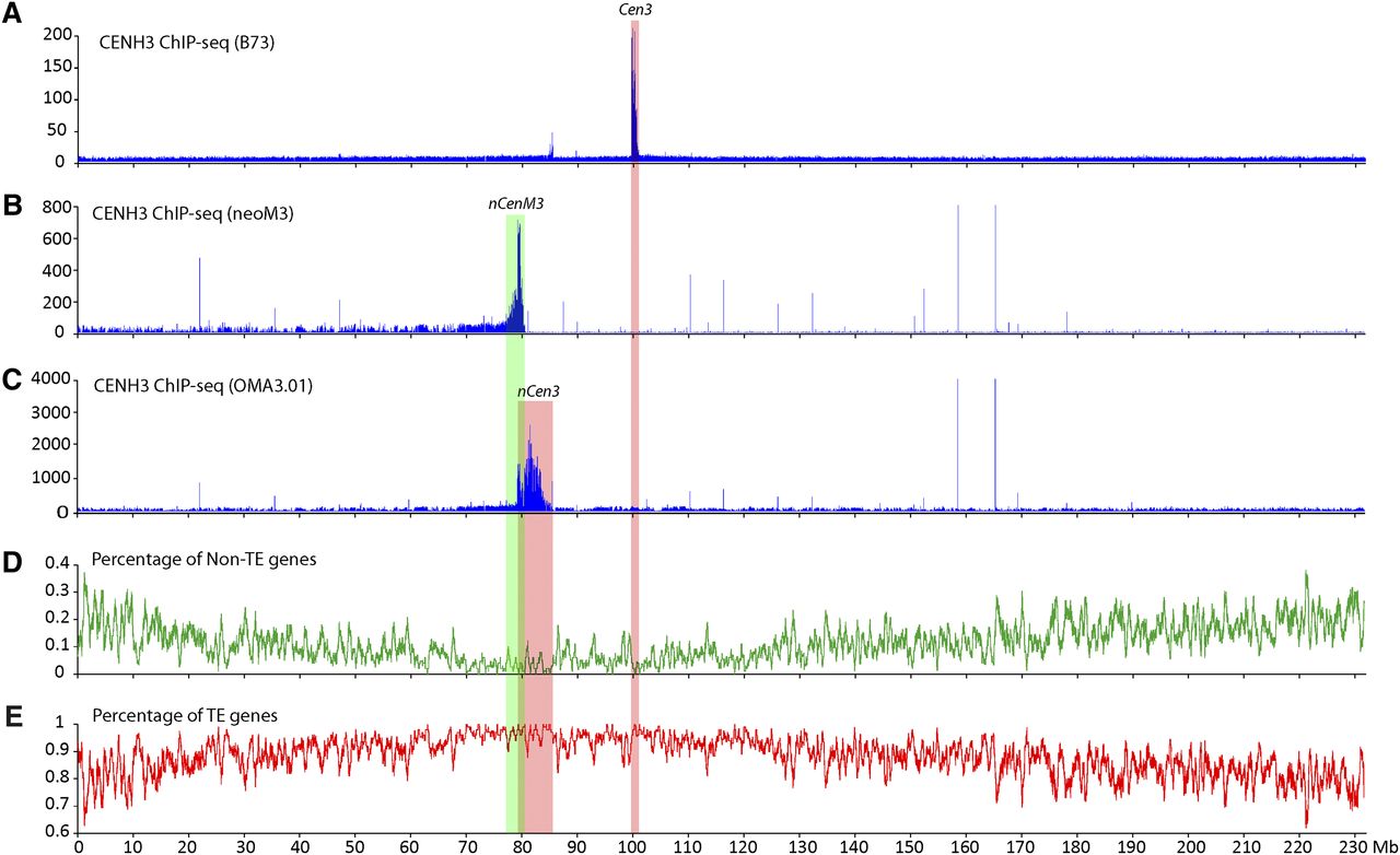 107fig2