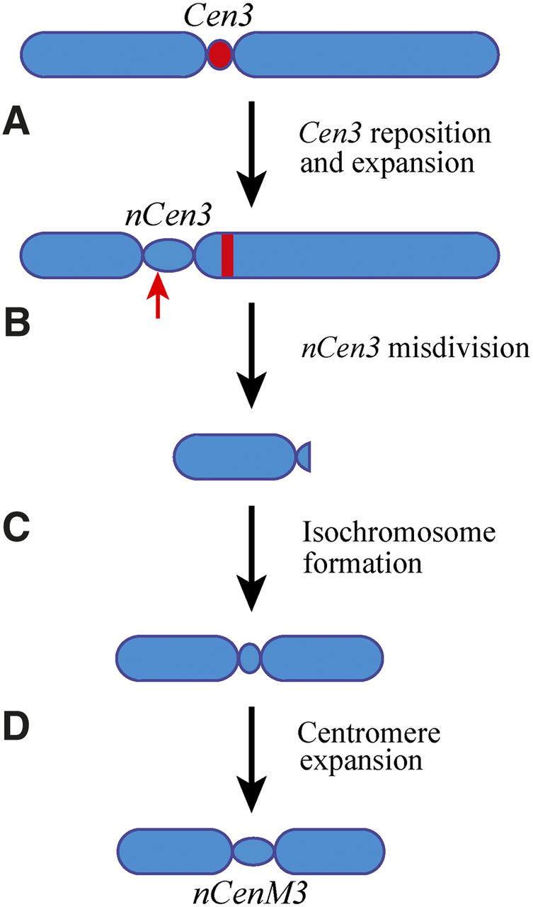 107fig3