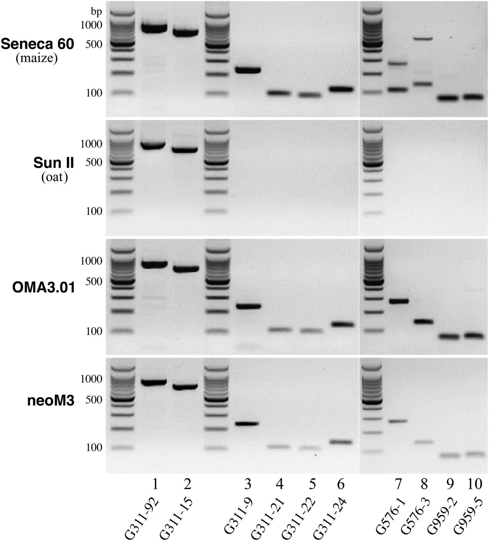 107fig6