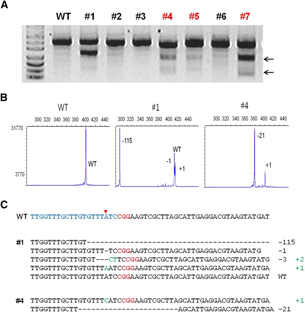 125fig2