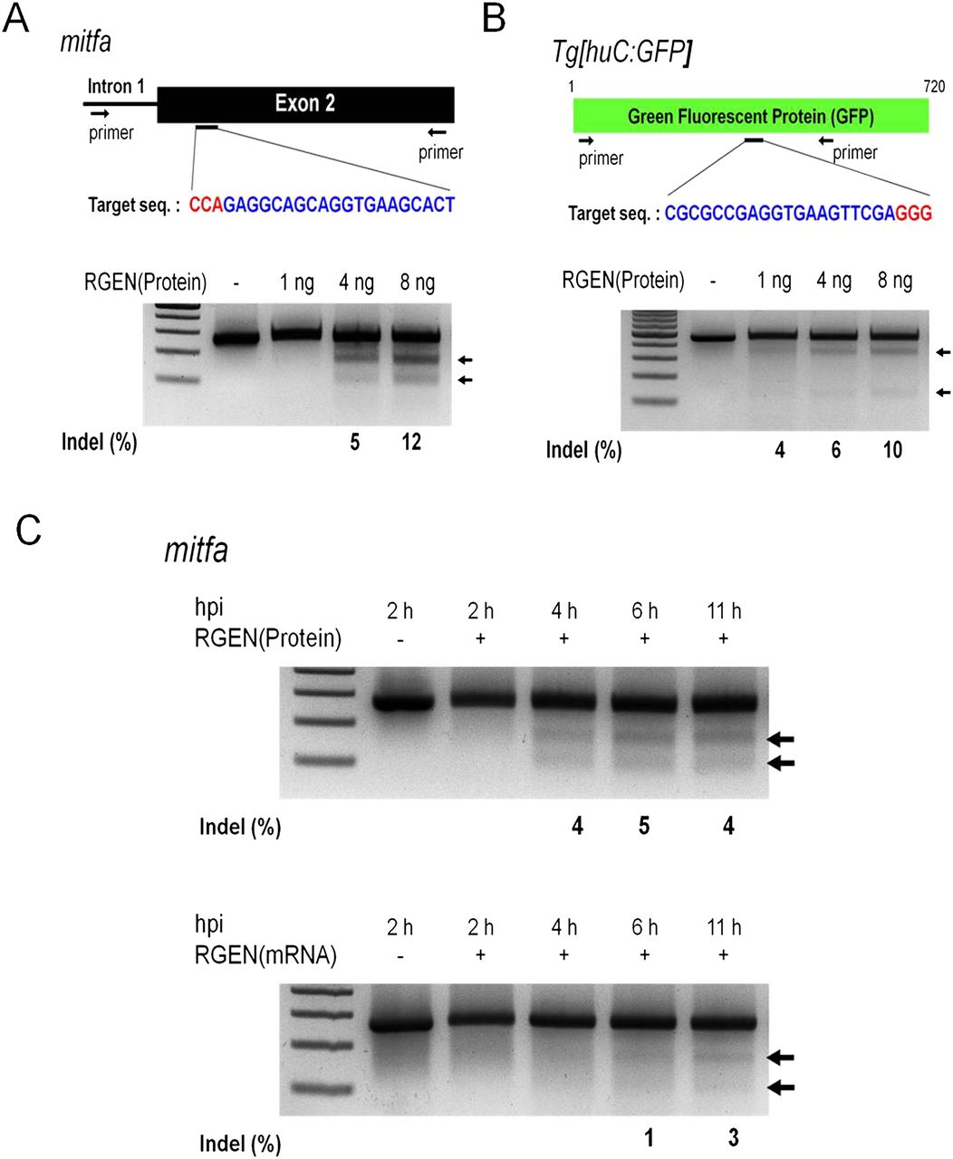 125fig3