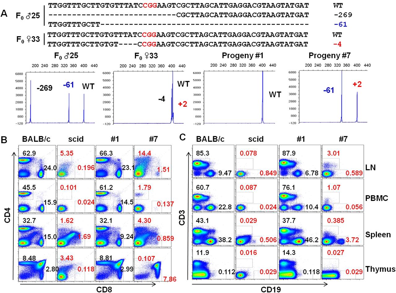 125fig5