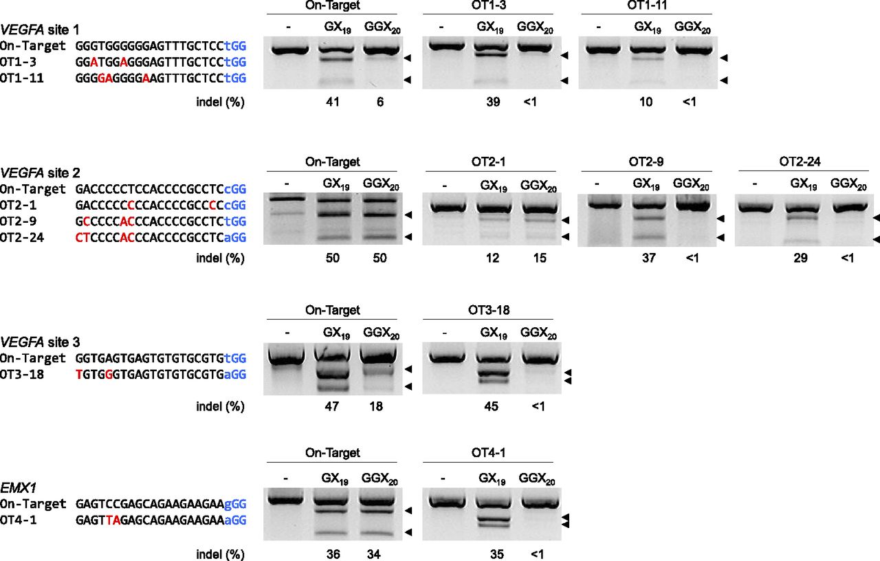 132fig3