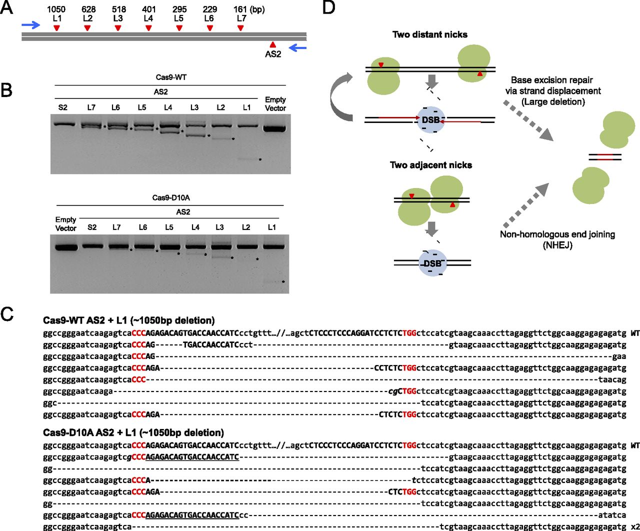 132fig6