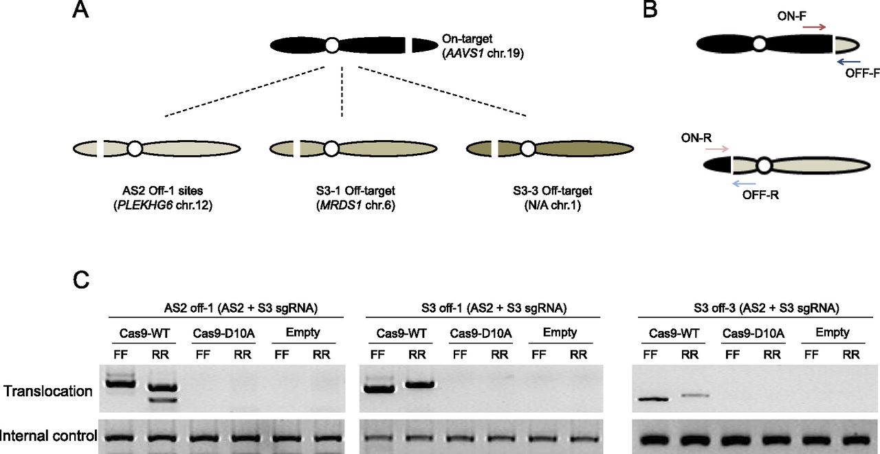 132fig7