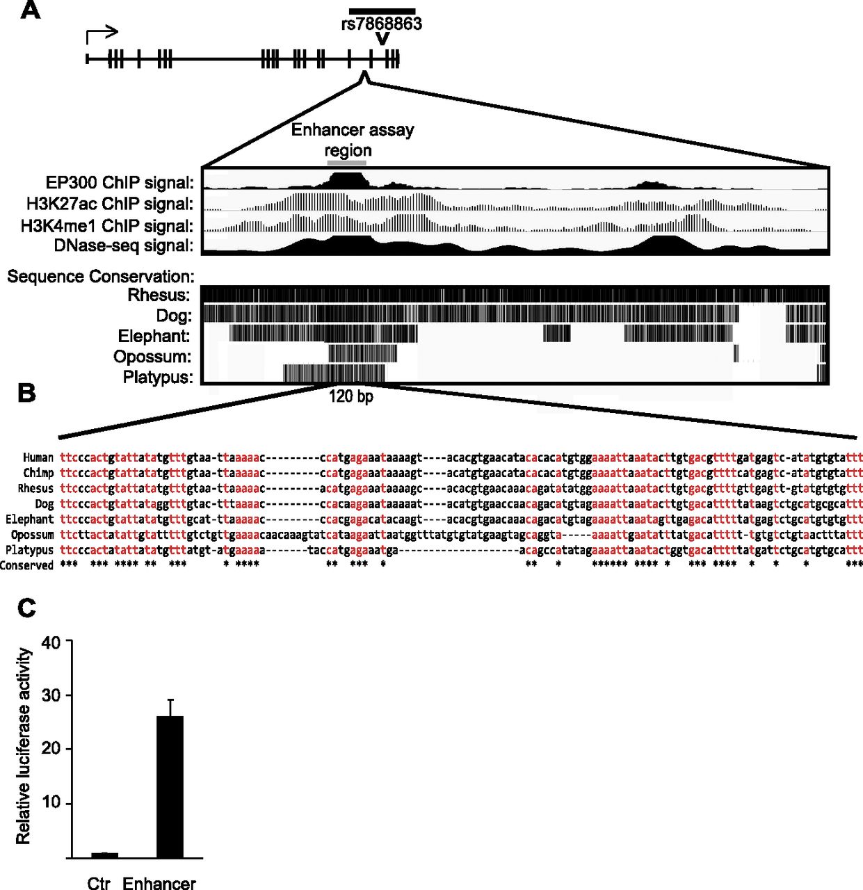 52fig3