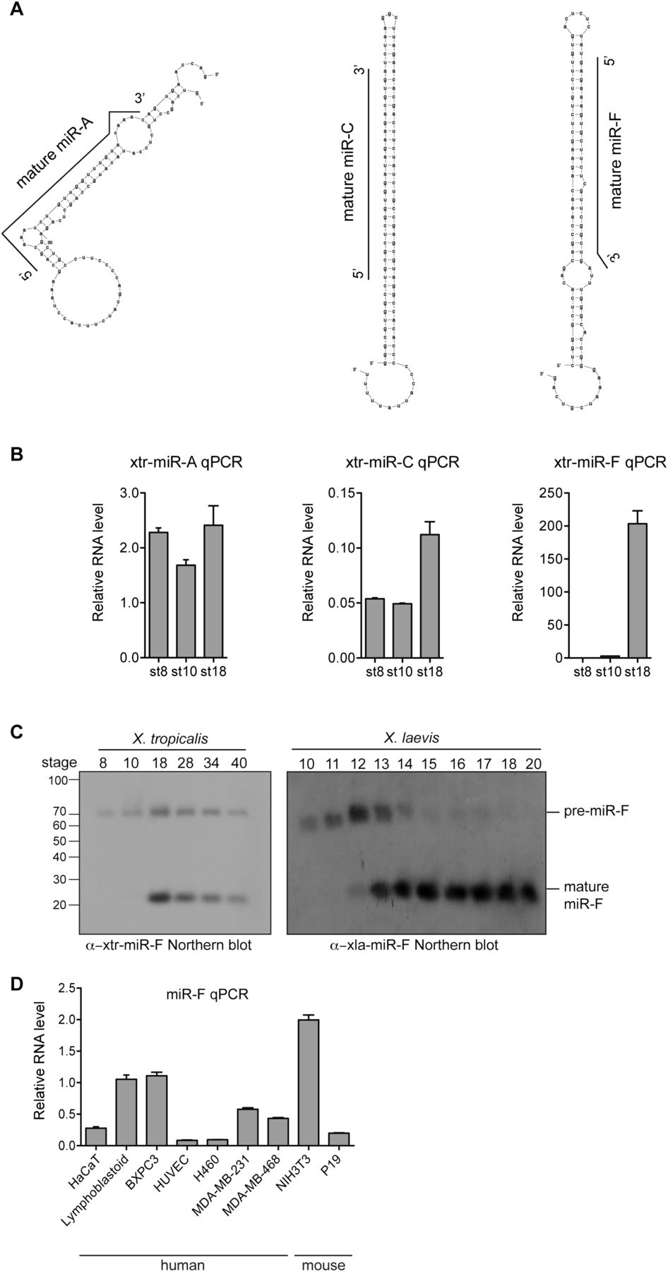 96fig4