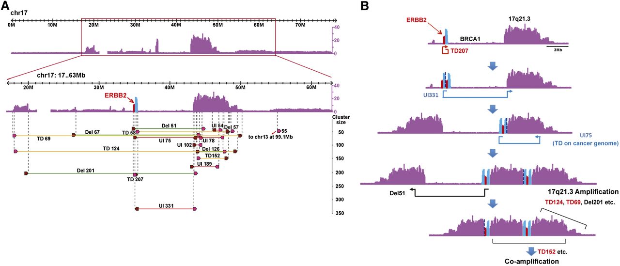 1559fig4
