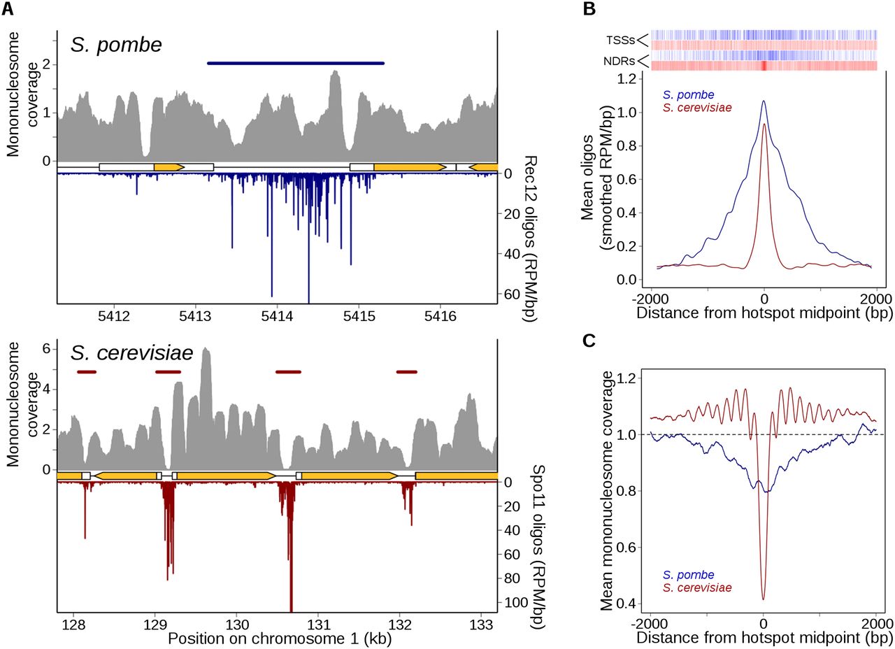 1650fig4