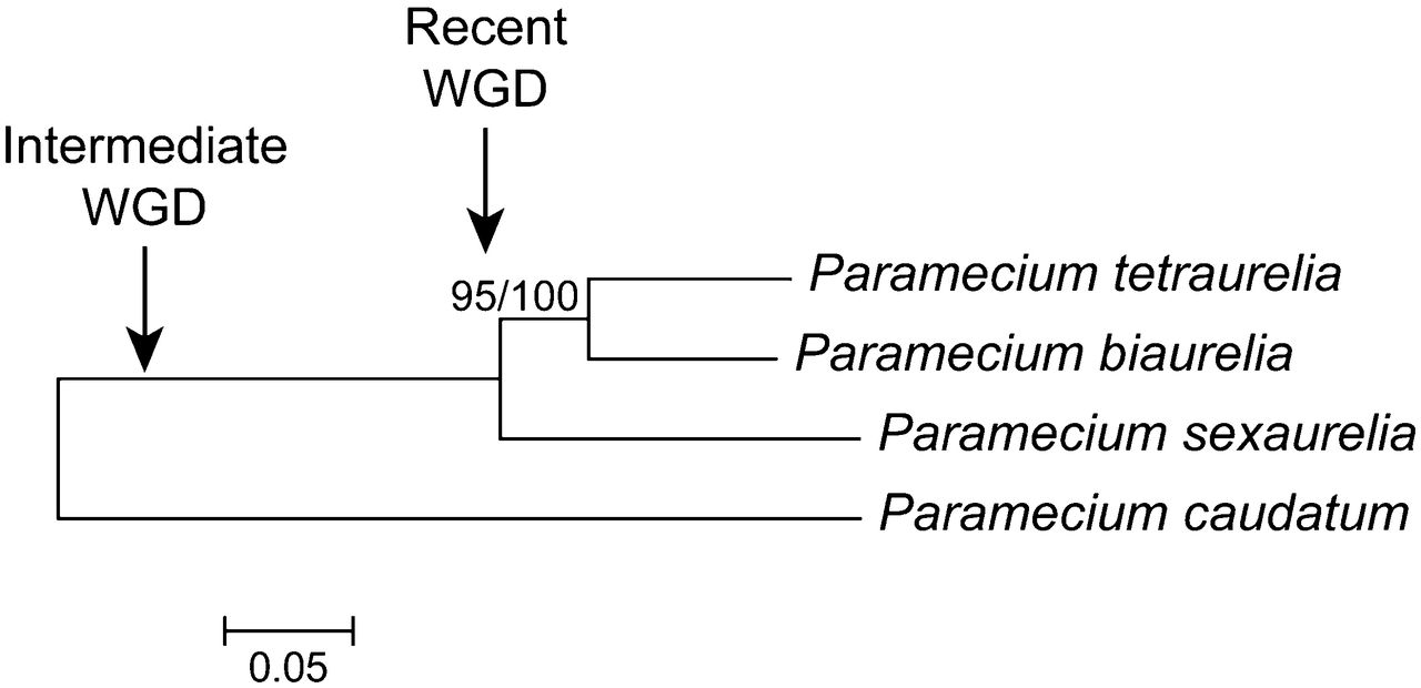 1665fig1