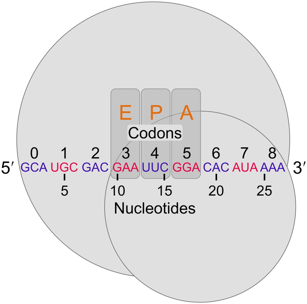 2011fig1