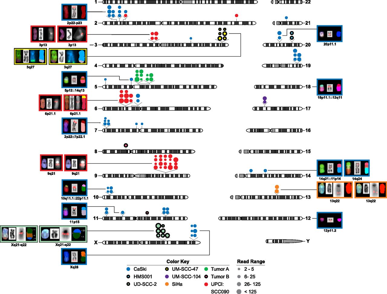 185fig2