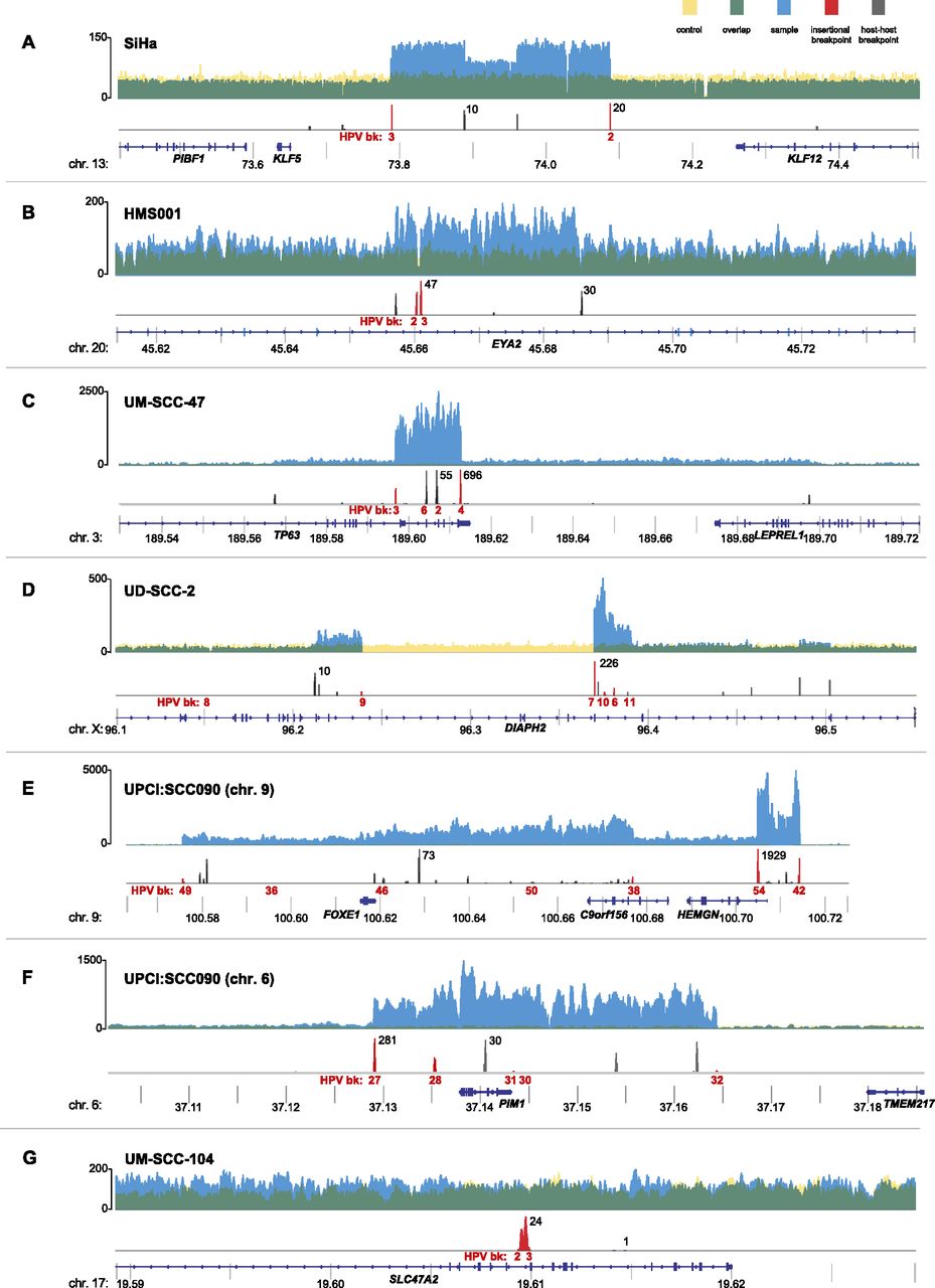 185fig3